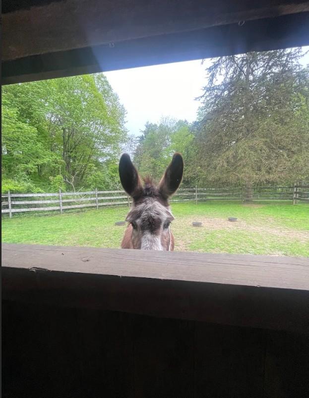 The Wedding Website of Jimmy M. Rogers and Dolores Ann Mihaliak