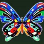 Butterfly Wonderland