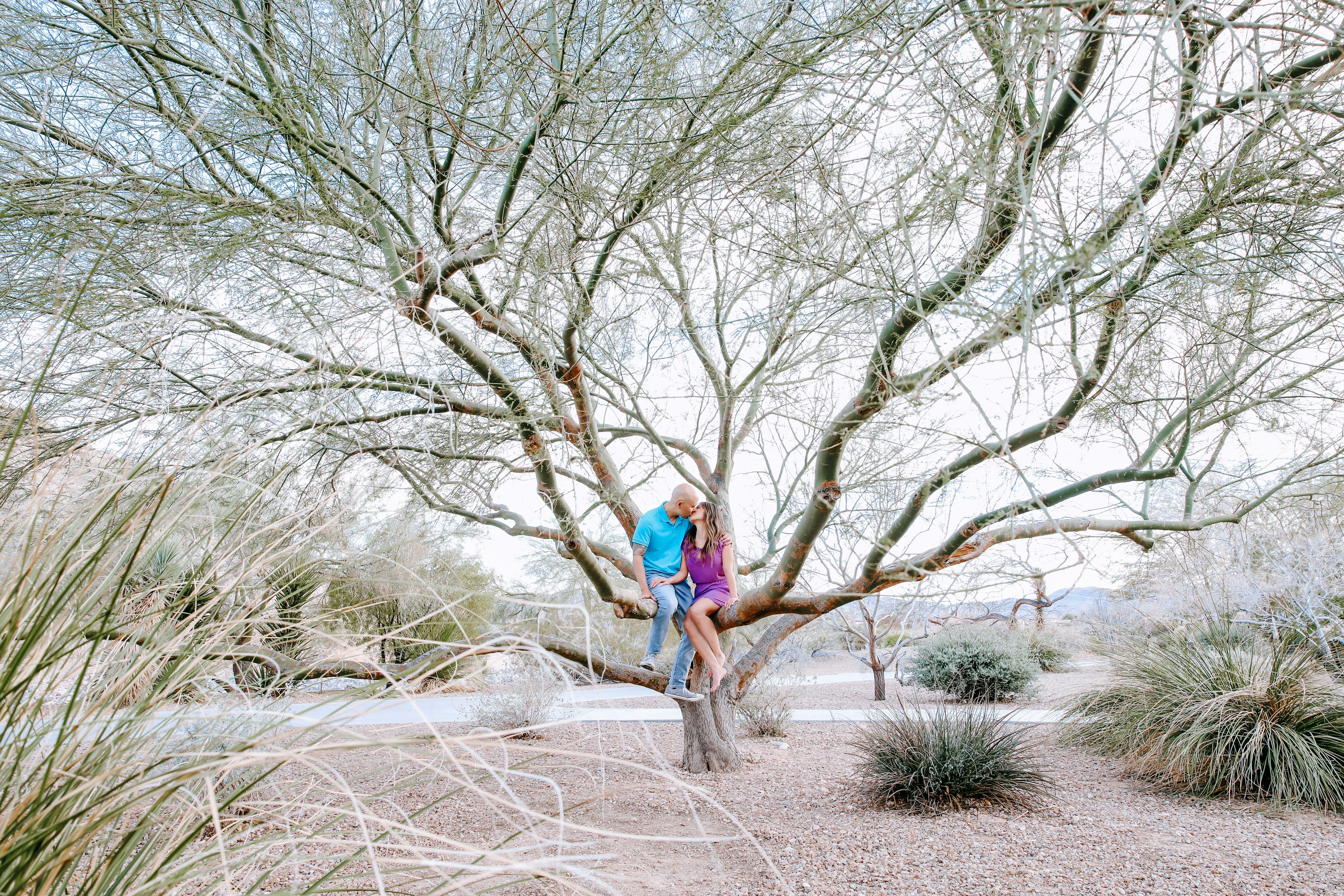 The Wedding Website of Steve Araki and Christine Dau