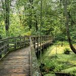 ❤️ Rondeau Provincial Park