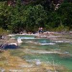 Barton Creek Greenbelt