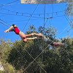 Flying Trapeze