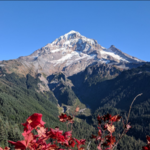 Visit Mount Hood
