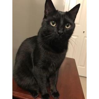 A more recent photo of Grim
