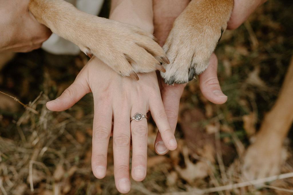 The Wedding Website of Kathleen Morton and Sean O'Bryant