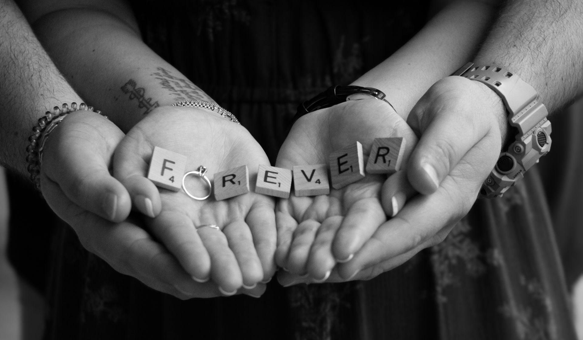 Hero Slideshow Image 0