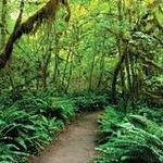 NATIONAL PARKS