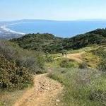 Hike in Temescal Peak