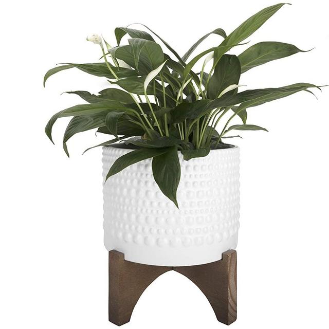 Ceramic Planter with Wood Stand - 8 Inch White Cylinder Embossed Hobnail Patterned Flower Plant Pot Indoor