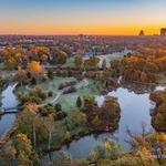 Forest Park