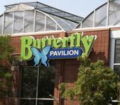 Butterfly Pavilion