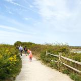 Sachuest Point National Wildlife Refuge (Free Activity)