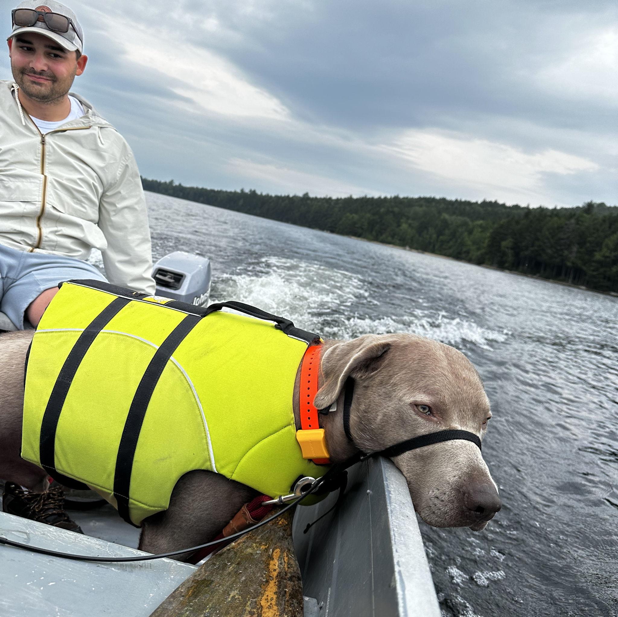 Summer 2023, boating to remote cabin, coopers first time on a boat