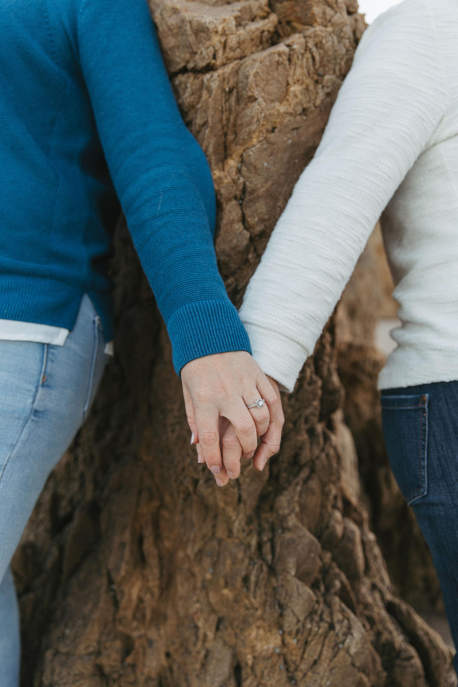 The Wedding Website of stacy Wilfong and Danyelle Dinges