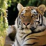 Philadelphia Zoo