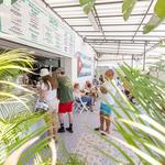 Experience the Best Cuban Food Miami Has To Offer