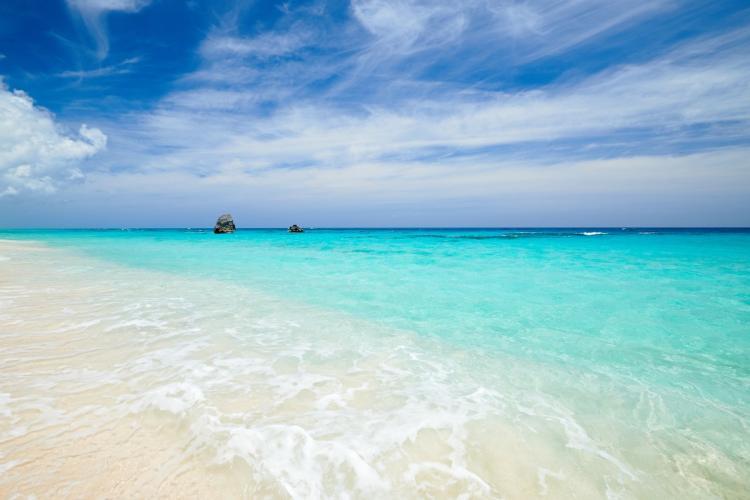 0853c969-20a5-45d4-b85a-c3a23b772406