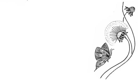 The Wedding Website of Sarah Erickson and Maxwell Bank