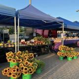 Holland Farmers Market