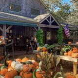 Morning Glory Farm