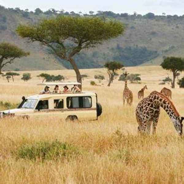 Kenya & Mauritius Honeymoon