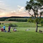 Arrington Vineyards