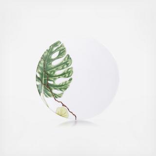 Ikebana Philodendron Bread & Butter Plate