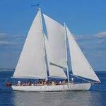 Schooner Woodwind