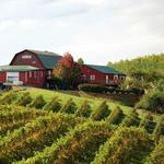 Carter Mountain Orchard