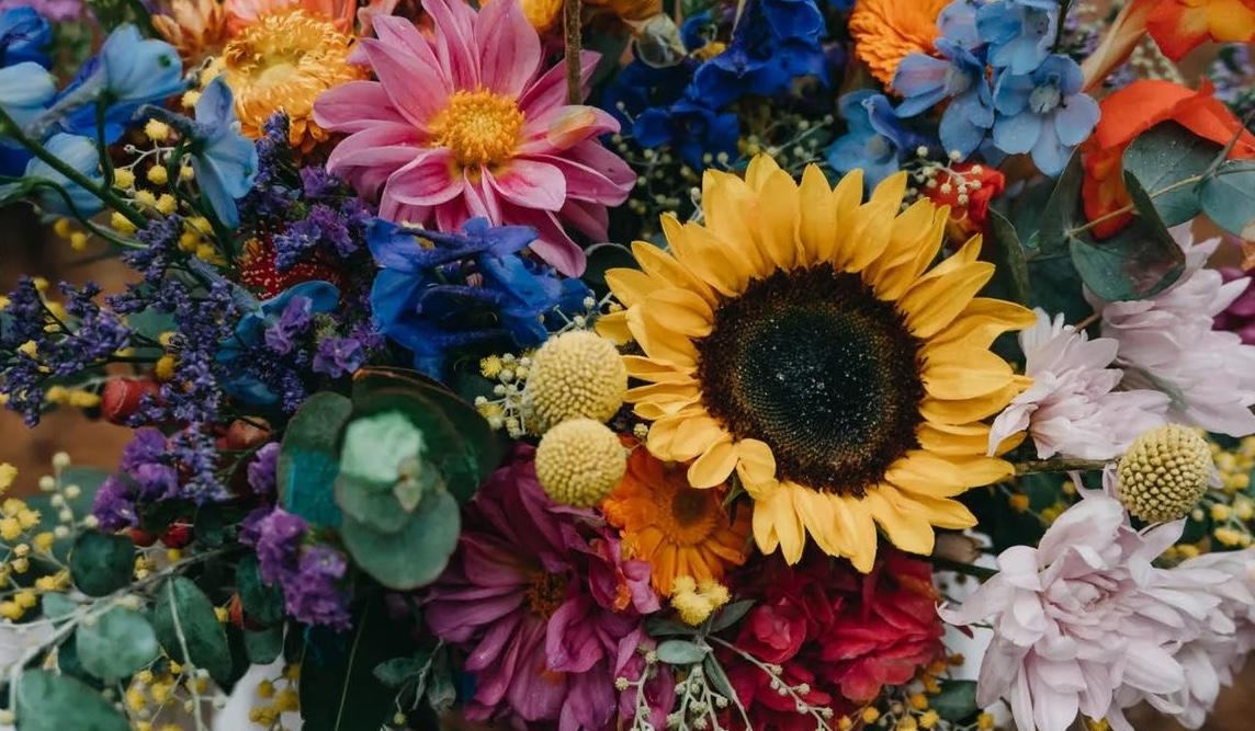 The Wedding Website of Jennifer Lyke and AJ Fontelroy
