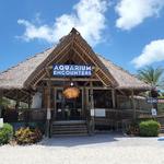 Florida Keys Aquarium Encounters