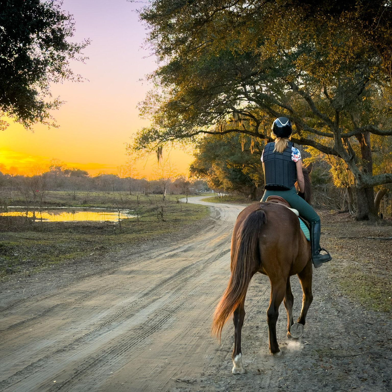 Sunset trail rides.
