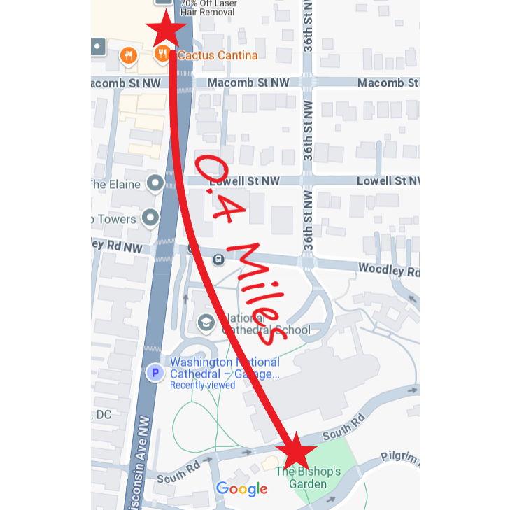 Both Venues