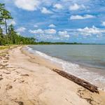 ACTIVITIES - Hughlett Point Natural Area Preserve