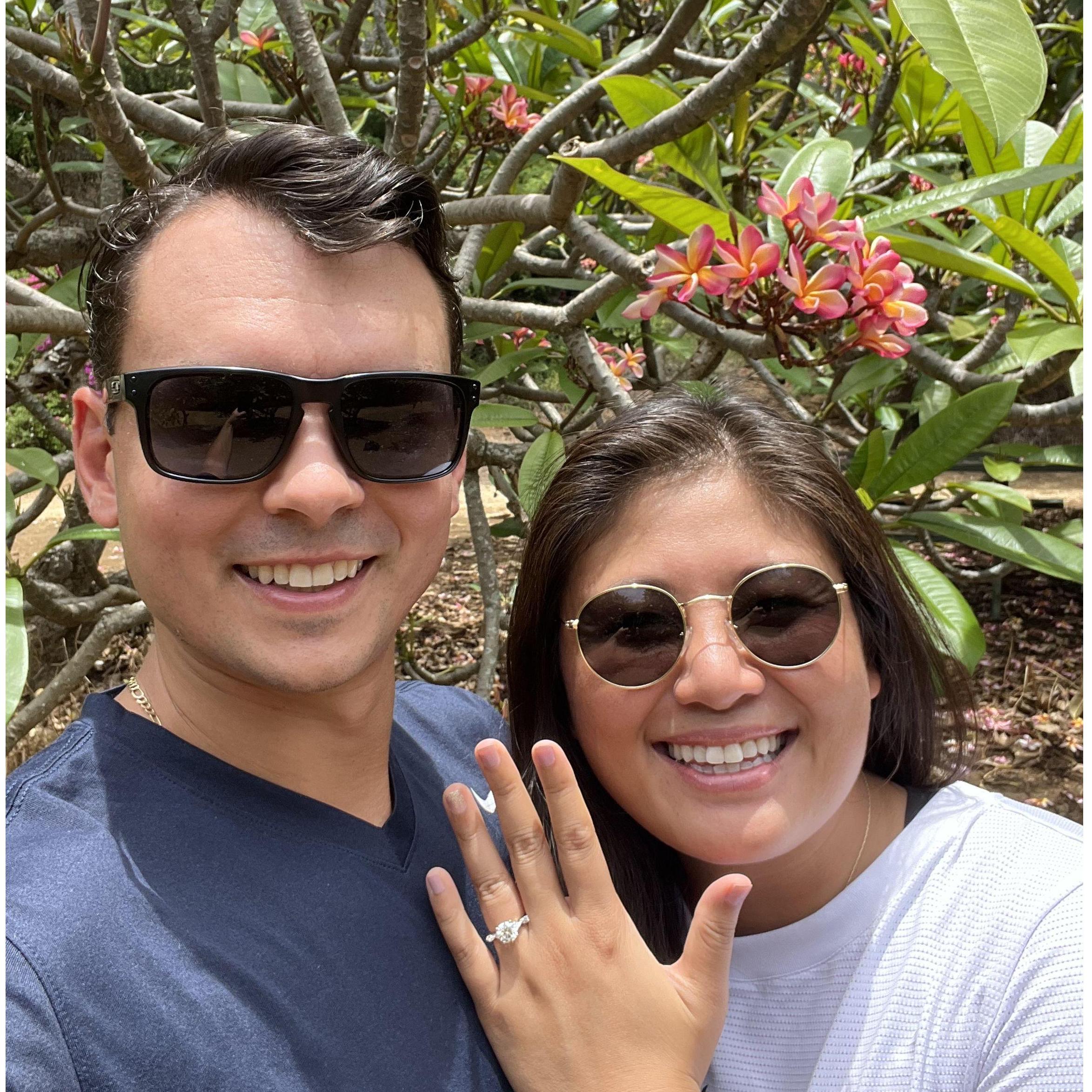 Engaged at Kokohead Botanical Gardens