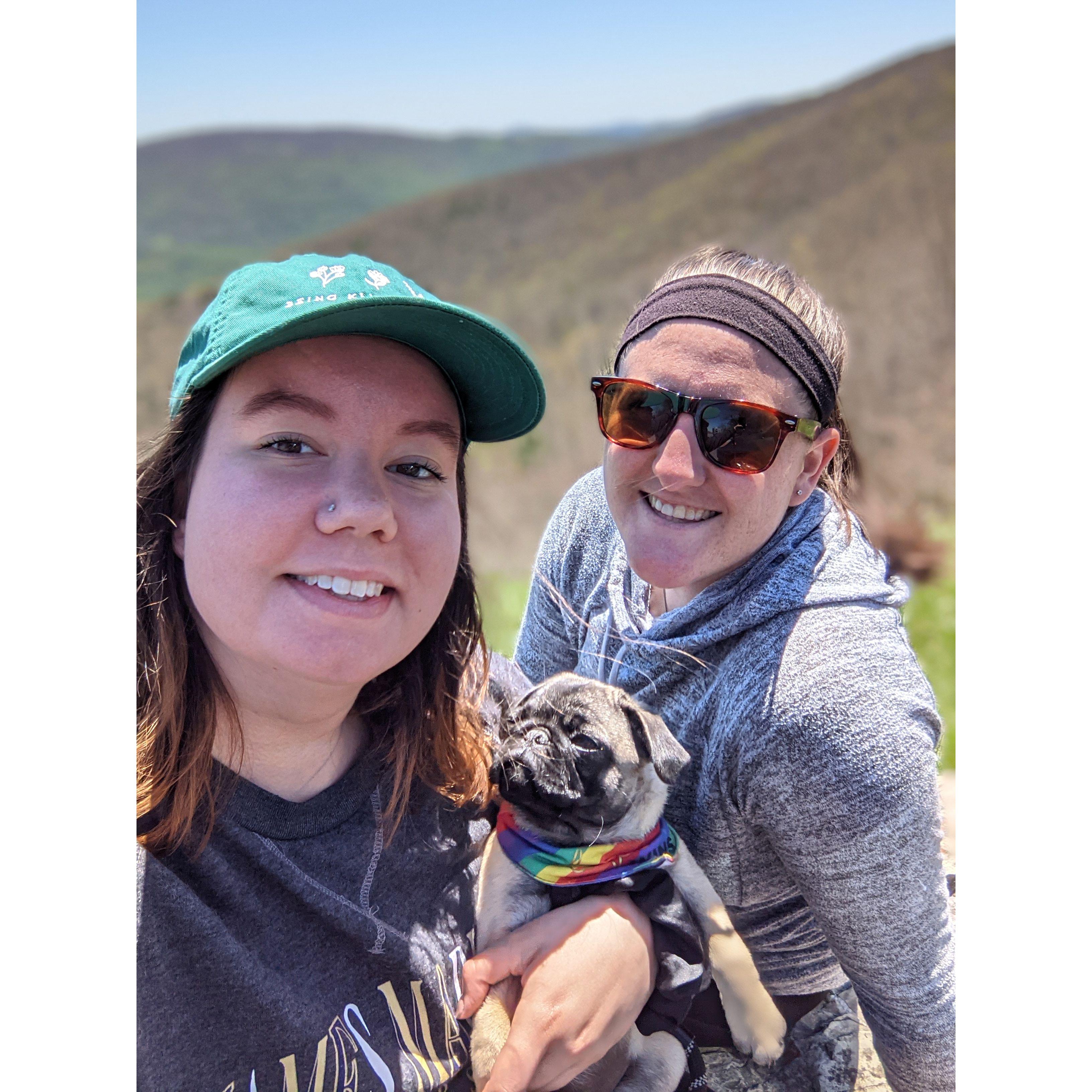 Pickles' very first hike!