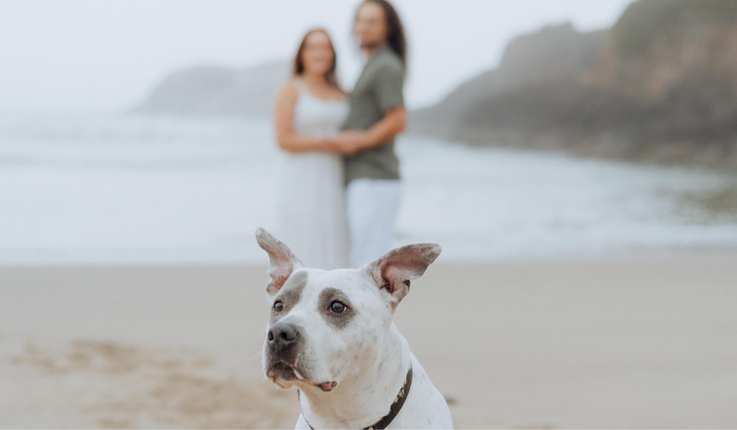 The Wedding Website of Rebekah Barrera and Josiah Landrum