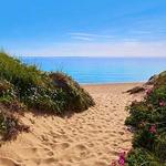 Herring Cove Beach