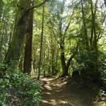 Point Defiance Park