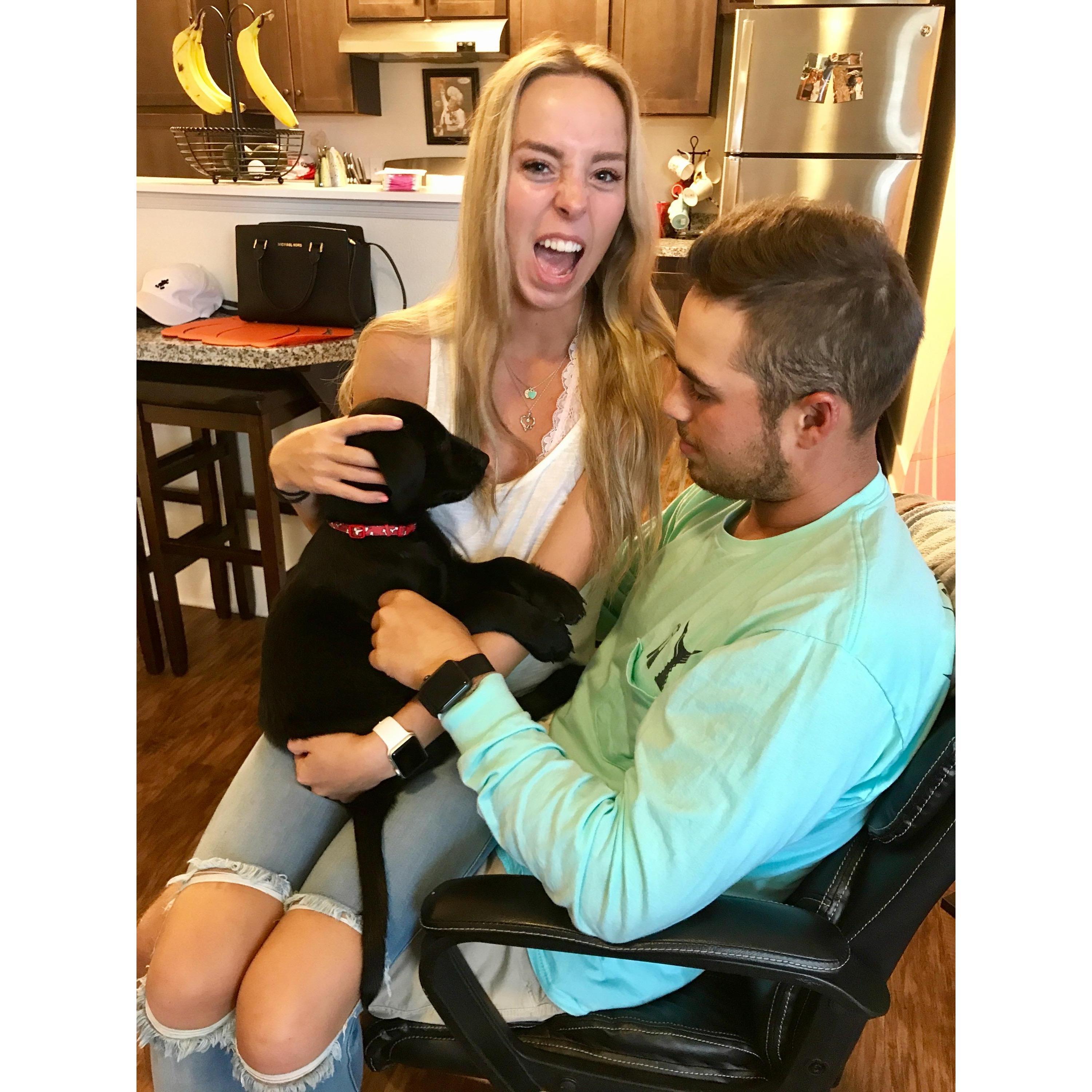 Gotta love puppy bites