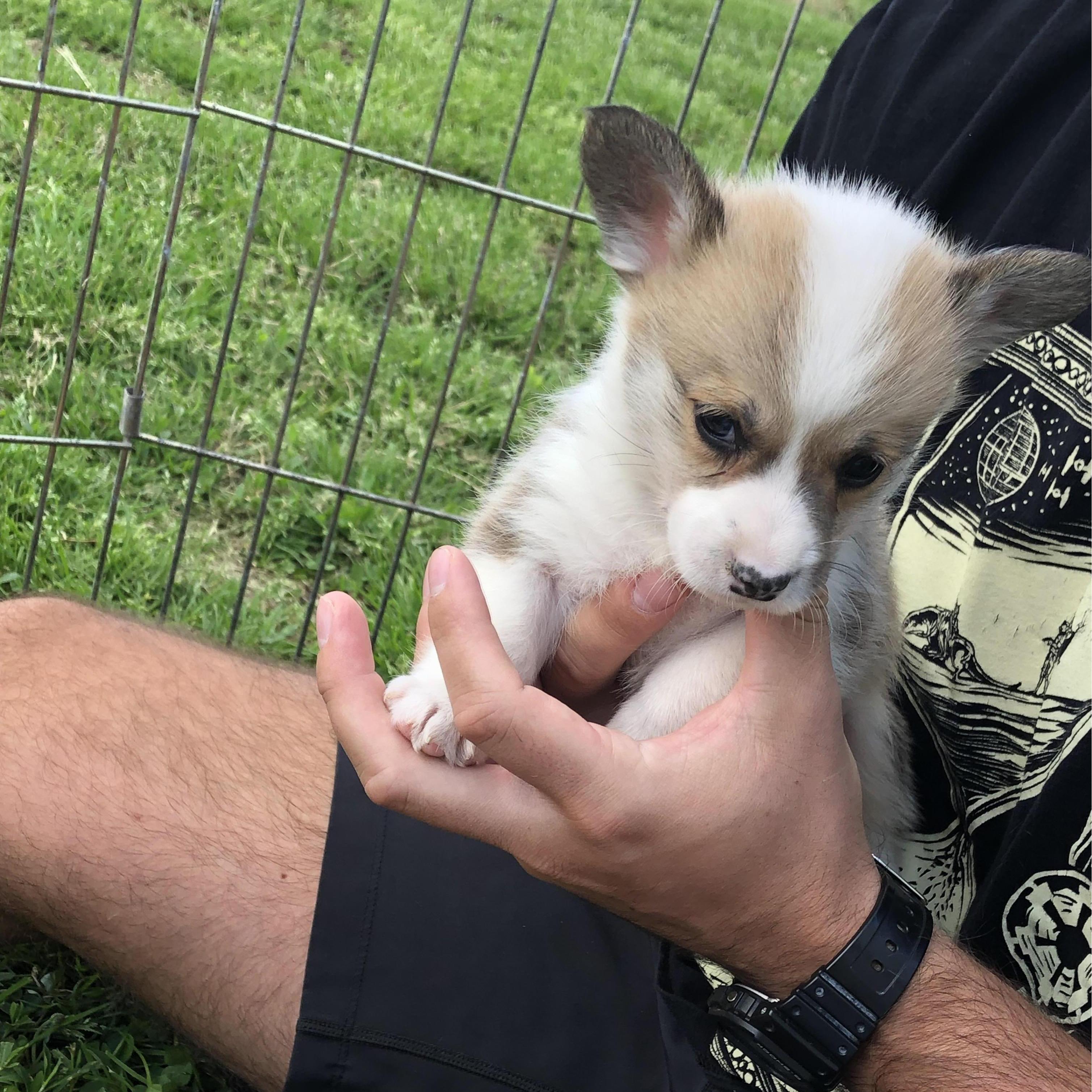 First Meeting Zona, April 2019