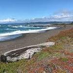 MacKerricher State Park