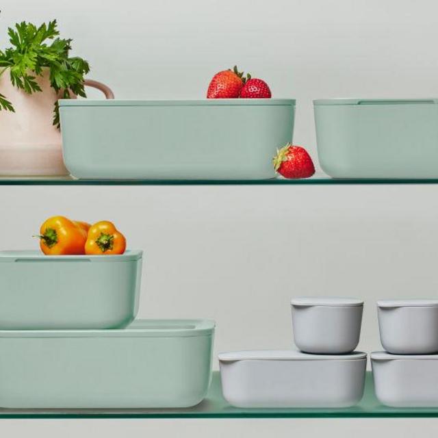 Food Storage Set in Mist