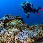 Scuba Diving