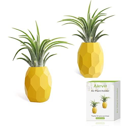 AIEVE Air Plant Holder, 2 Pack Air Plant Hanger Air Plant Stand Pineapple Planter Tillandsia Holder Tabletop Display Geometric Planter with Magnet for Hanging Air Plants Indoor Wall Decor, Small