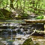 Raven Run Nature Sanctuary