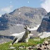 Hike Mount Timpanogos