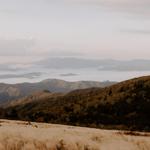 Roan Mountain State Park