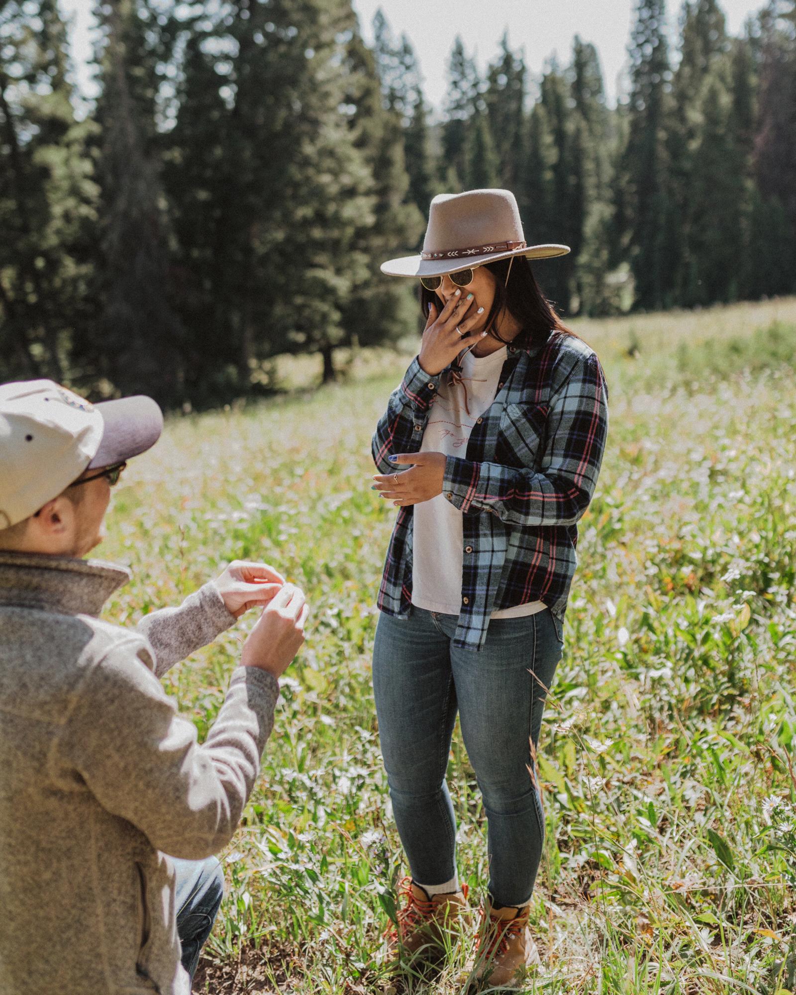 8.14.19 The proposal