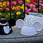 Disney World
